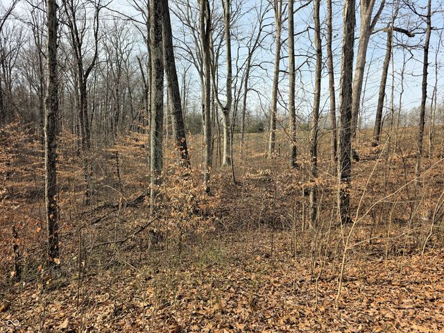 8977 Old Haggard Road, Morgantown, IN 46160