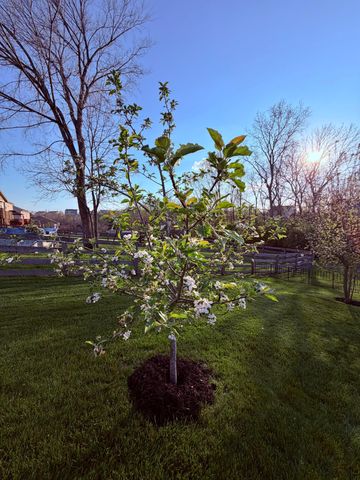 10716 Blooming Court, Independence, KY 41051
