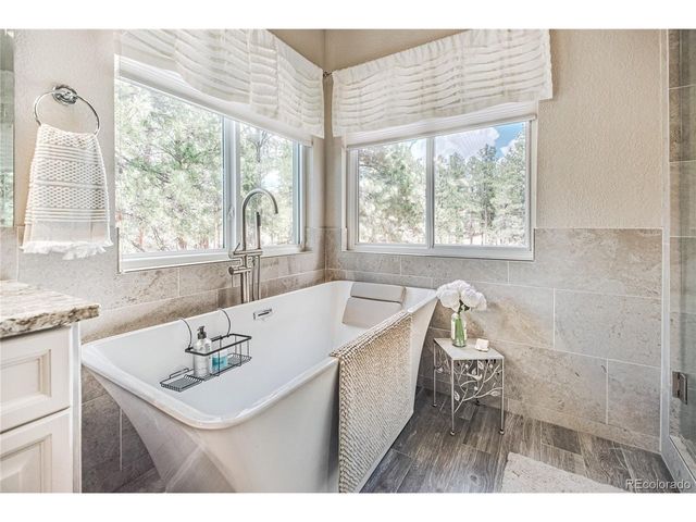 1000 Cochetopa Dr, Larkspur, CO 80118