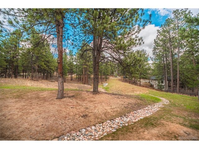 1000 Cochetopa Dr, Larkspur, CO 80118