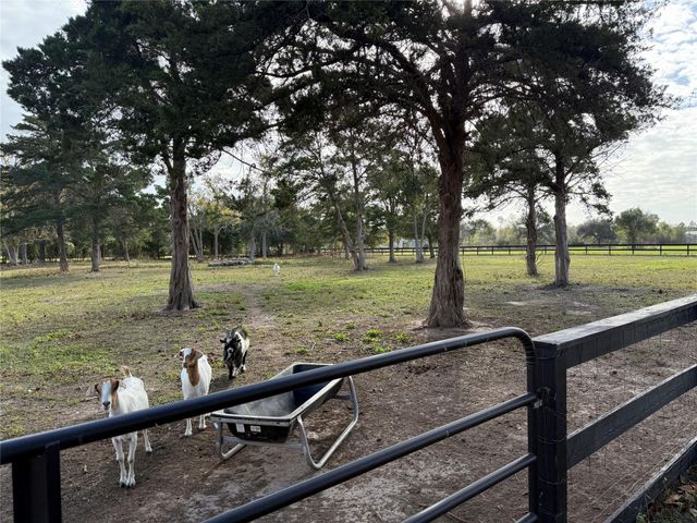 6407 Avenue O, Santa Fe, TX 77510