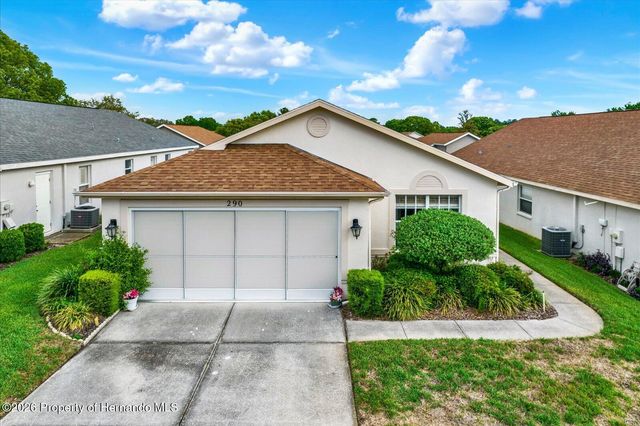 290 Quane Avenue, Spring Hill, FL 34609