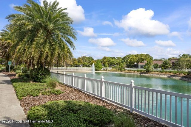 290 Quane Avenue, Spring Hill, FL 34609