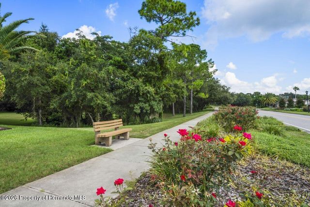 290 Quane Avenue, Spring Hill, FL 34609