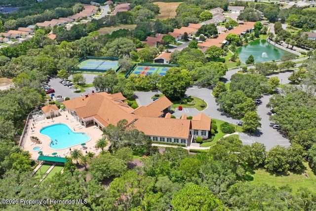 290 Quane Avenue, Spring Hill, FL 34609
