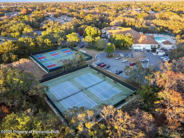290 Quane Avenue, Spring Hill, FL 34609