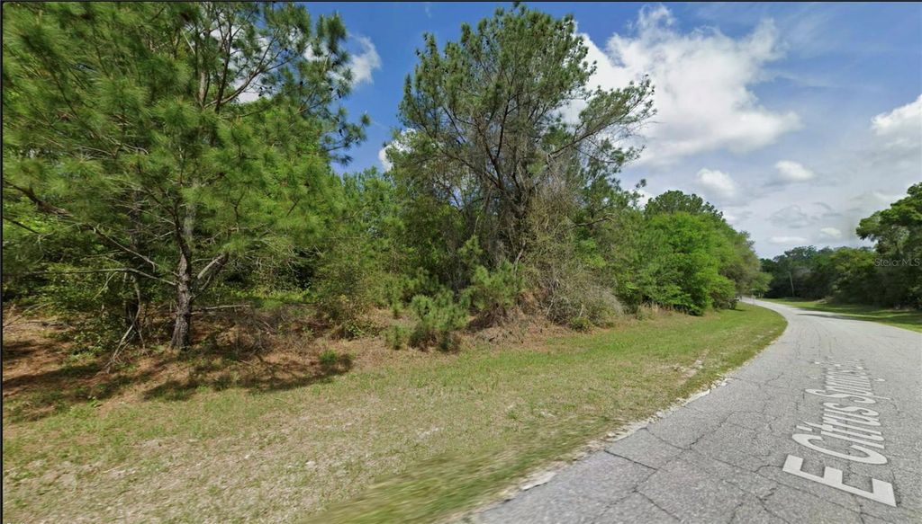 325 E CITRUS SPRINGS BOULEVARD, Citrus Springs, FL 34434