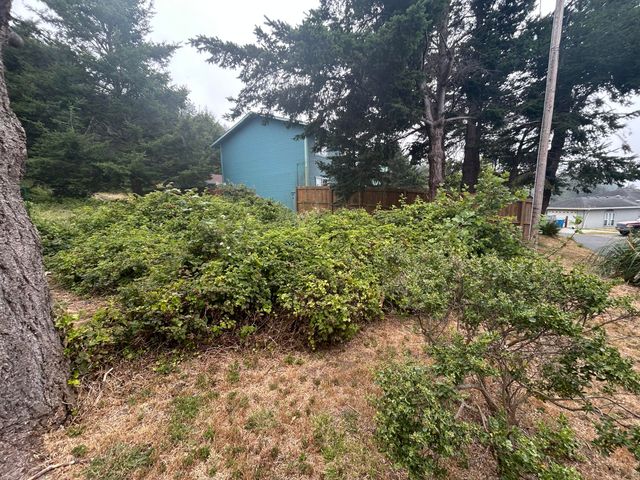 81 Fawn Drive, Shelter Cove, CA 95589