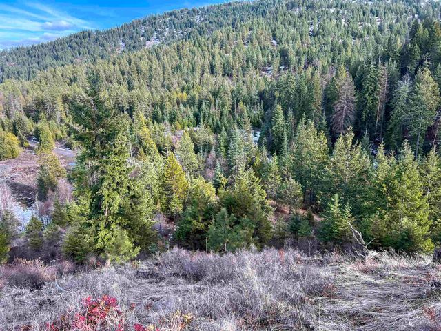 35XX Harms Way, Valley, WA 99181