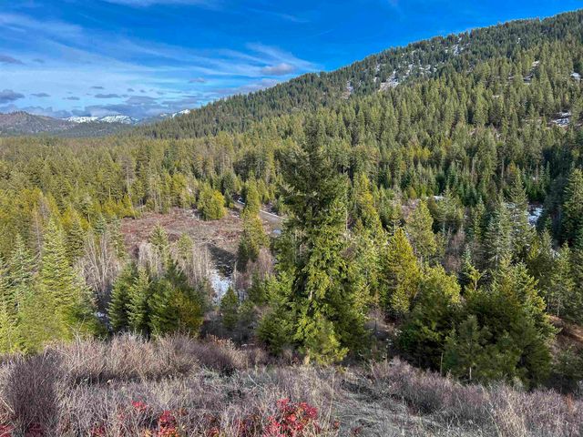 35XX Harms Way, Valley, WA 99181