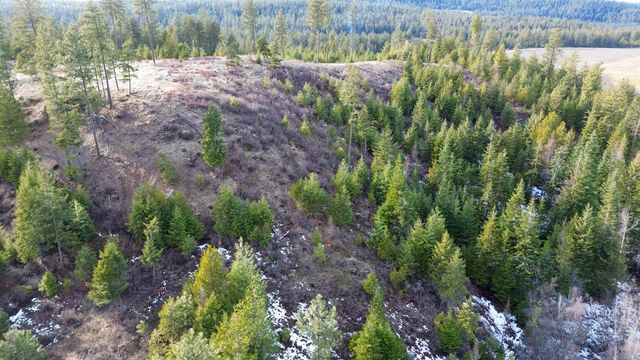 35XX Harms Way, Valley, WA 99181