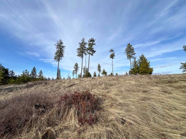 35XX Harms Way, Valley, WA 99181