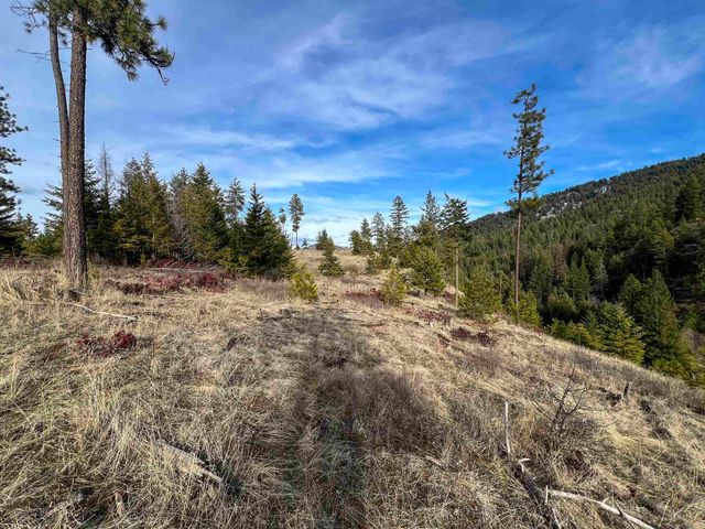 35XX Harms Way, Valley, WA 99181