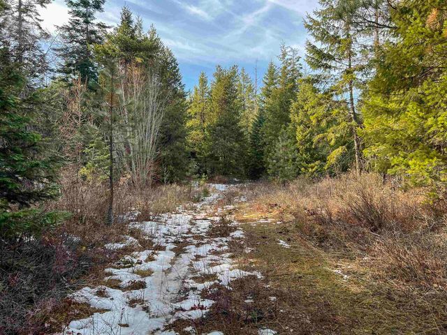 35XX Harms Way, Valley, WA 99181