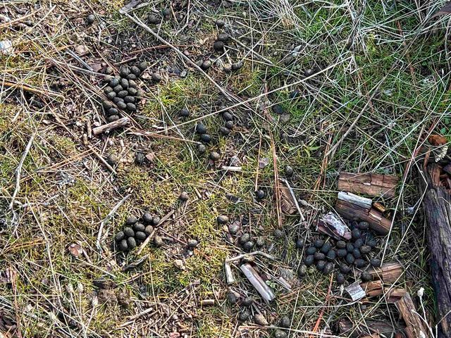 35XX Harms Way, Valley, WA 99181