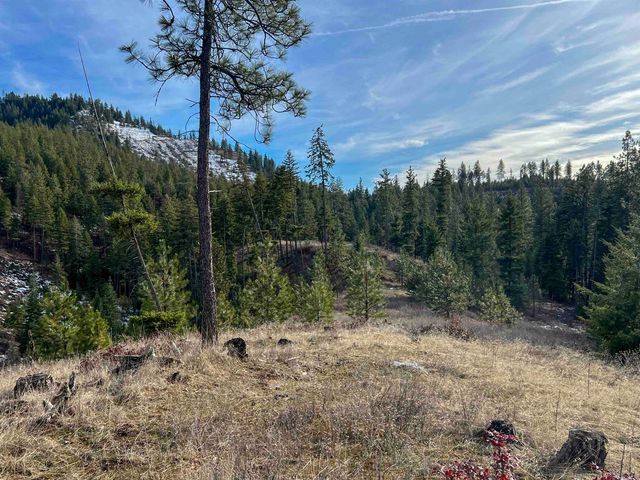 35XX Harms Way, Valley, WA 99181