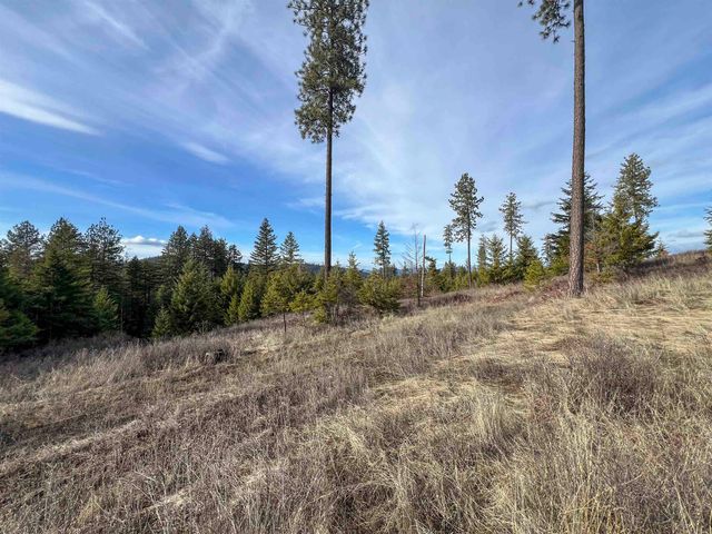 35XX Harms Way, Valley, WA 99181