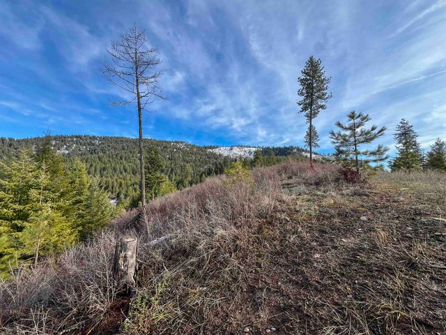 35XX Harms Way, Valley, WA 99181