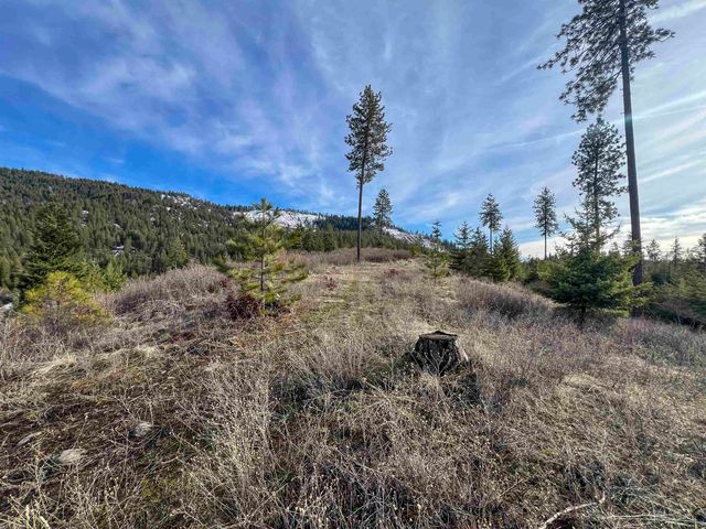 35XX Harms Way, Valley, WA 99181