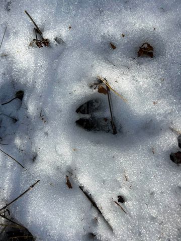 35XX Harms Way, Valley, WA 99181