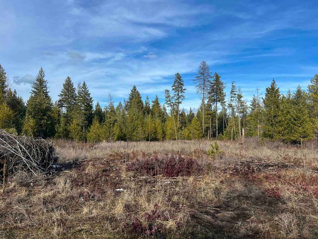 35XX Harms Way, Valley, WA 99181