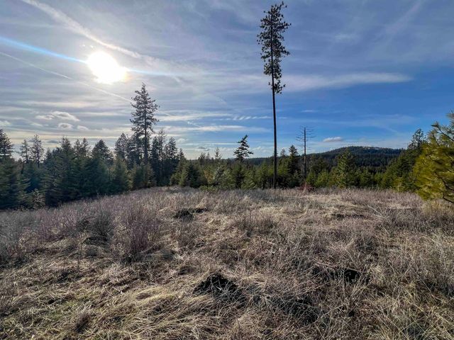 35XX Harms Way, Valley, WA 99181