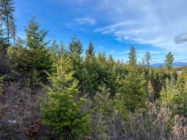 35XX Harms Way, Valley, WA 99181