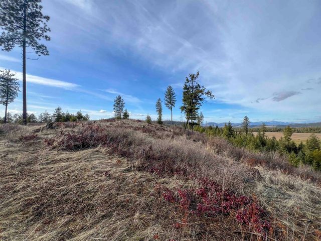 35XX Harms Way, Valley, WA 99181