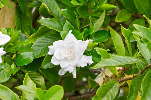 2990 Twin Oaks Way, Wellington, FL 33414