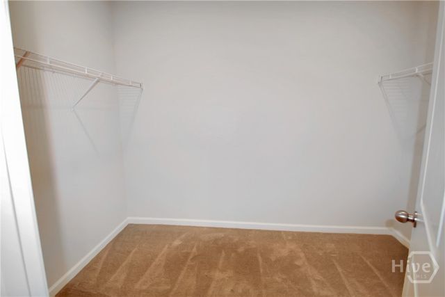 99 Cambium Circle, Richmond Hill, GA 31324