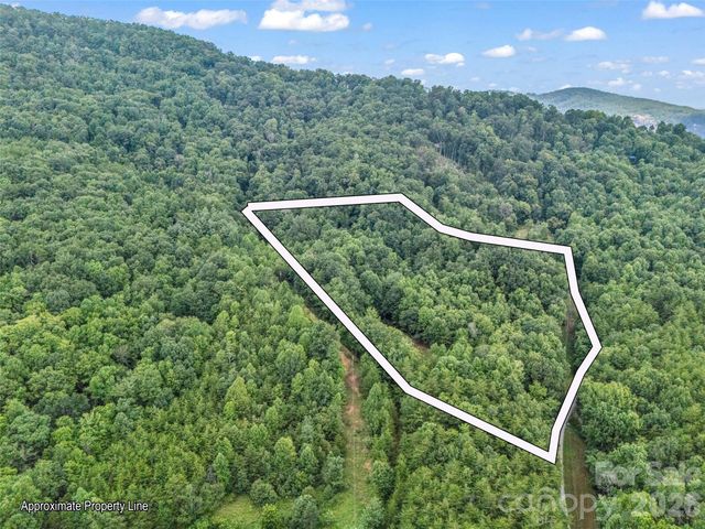 479 Camp Hill Road, Mill Spring, NC 28756