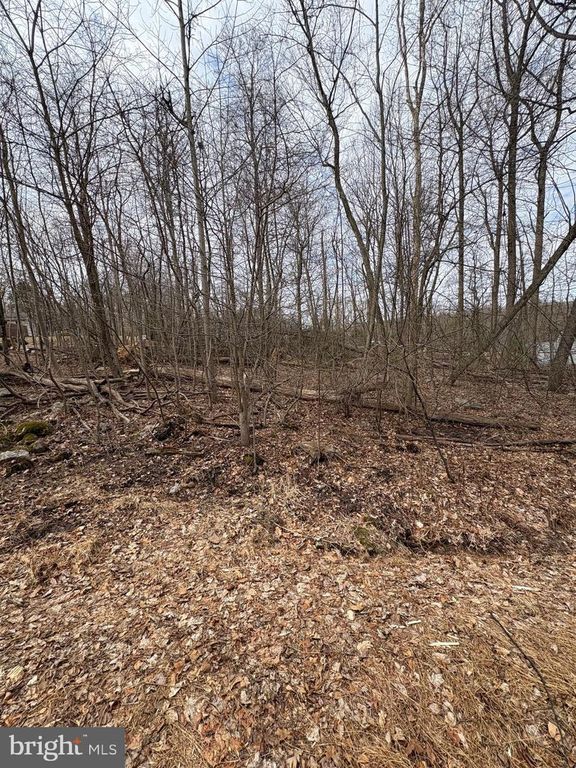 441 W WANNA DRIVE, Auburn, PA 17922