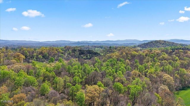 238 Cedar Valley Boulevard, Gray, TN 37615
