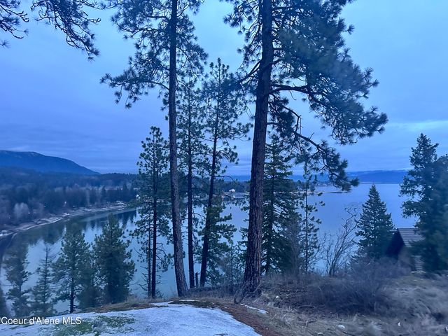 203 Pomrankey LN, Dover, ID 83825