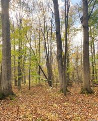 9473 E Broomfield Road, Chippewa Township, MI 48858