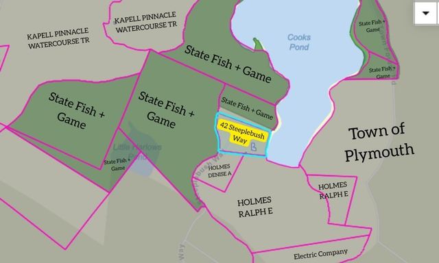 42 Steeplebush Way, Plymouth, MA 02360