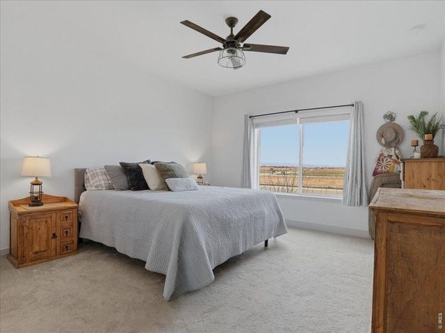 651 Hillspire Dr, Windsor, CO 80550