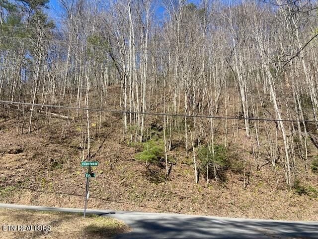 0 N Clear Fork Rd, Sevierville, TN 37862