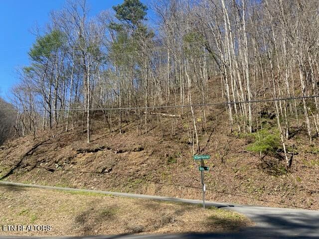 0 N Clear Fork Rd, Sevierville, TN 37862