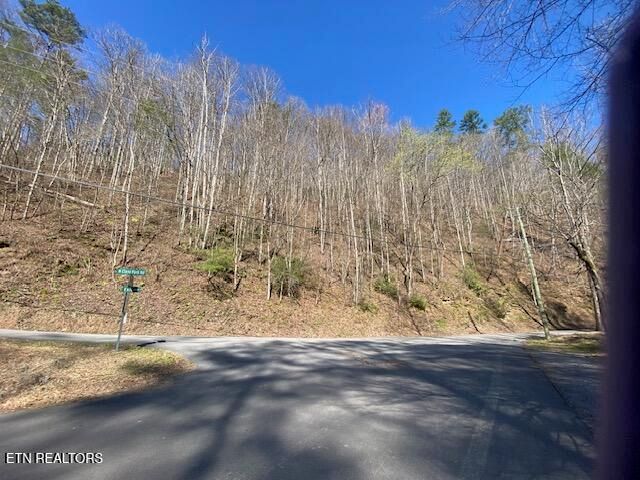 0 N Clear Fork Rd, Sevierville, TN 37862