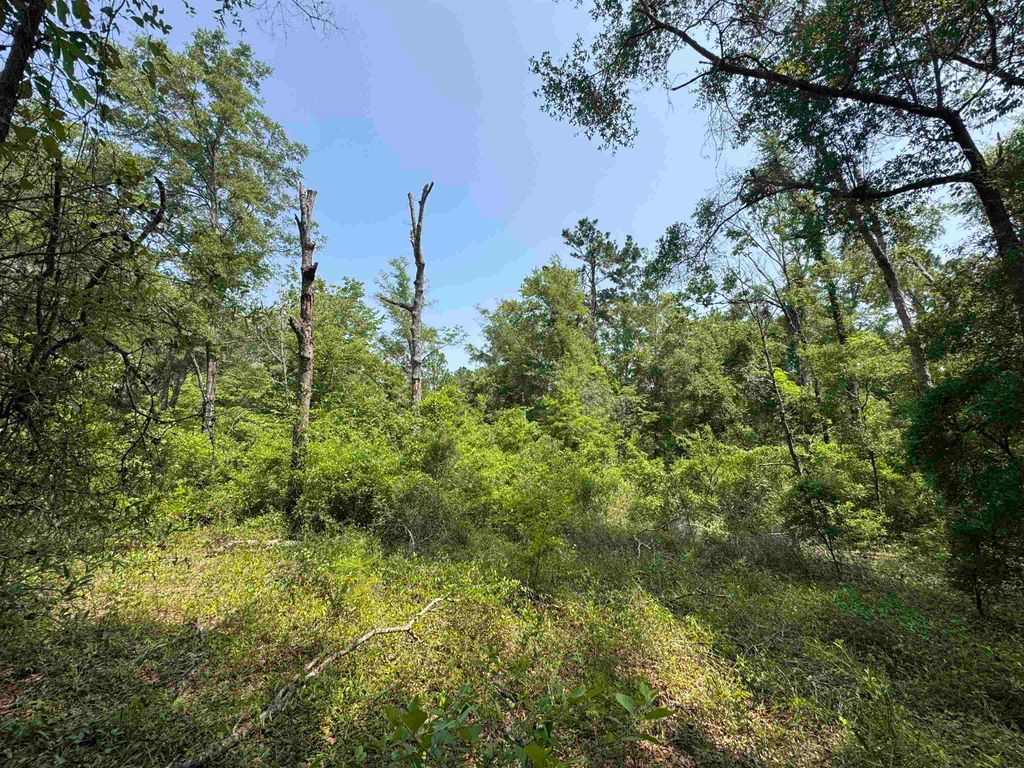 0 Tern Road, Tallahassee, FL 32305