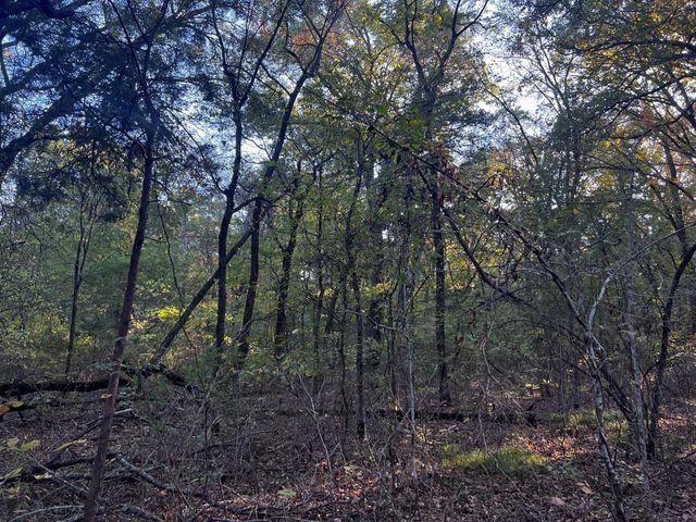 TBD County Road 2620, Ivanhoe, TX 75447