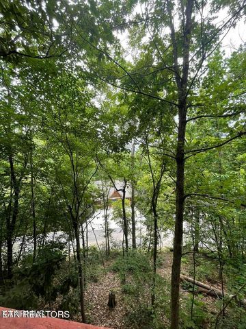 3507 Brook Stone Way, Pigeon Forge, TN 37863