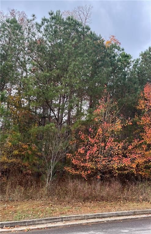 1075 Falkirk Lane, Stone Mountain, GA 30087