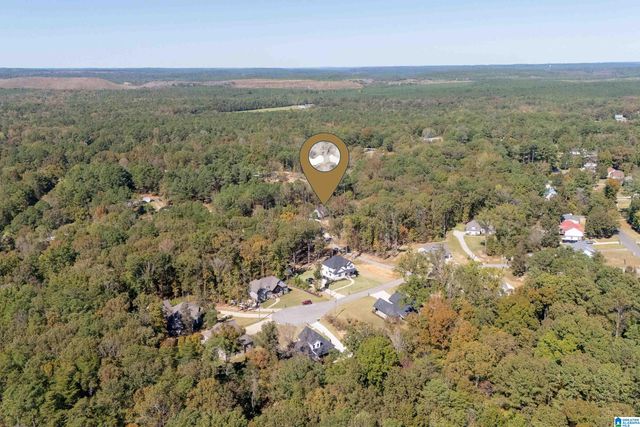 21332 CALLIE CIRCLE, Mccalla, AL 35111