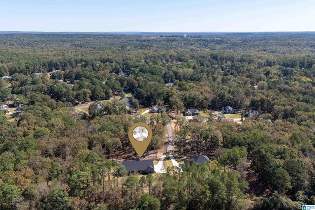 21332 CALLIE CIRCLE, Mccalla, AL 35111