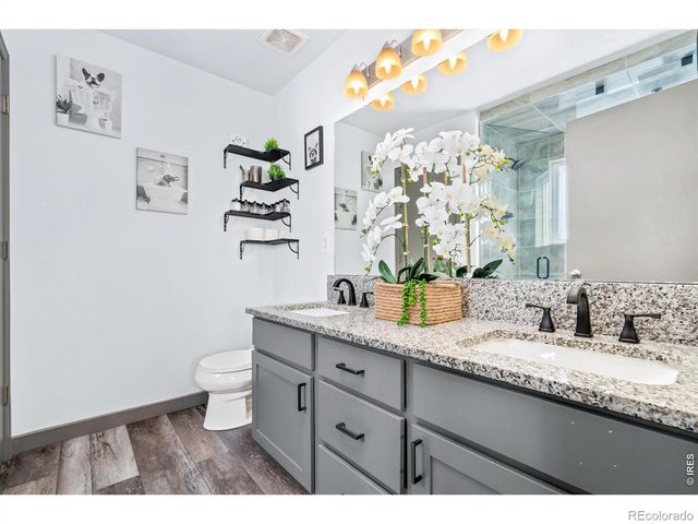 3240 Belmont Court, Wellington, CO 80549
