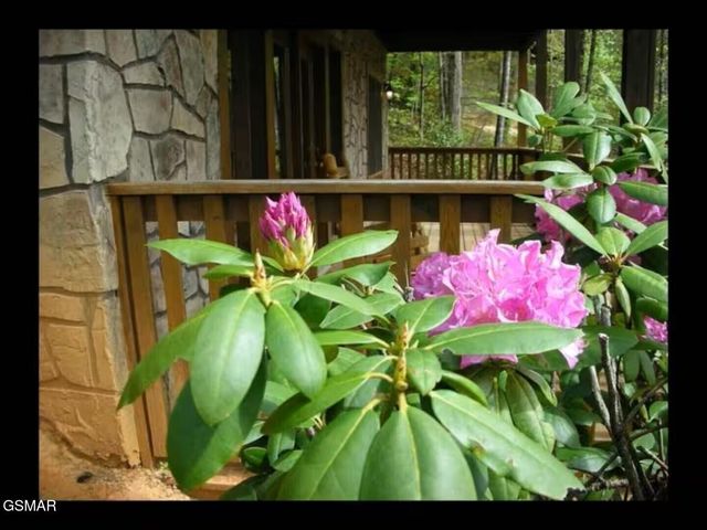 749 Yona Trail Way, Gatlinburg, TN 37738