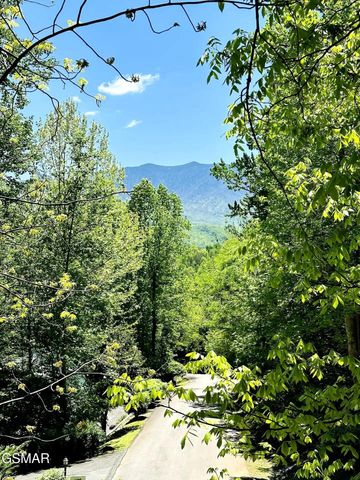 749 Yona Trail Way, Gatlinburg, TN 37738
