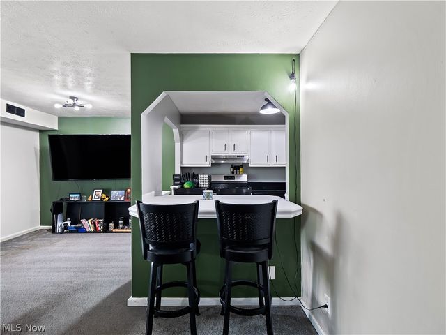 3675 Clague Road 316, North Olmsted, OH 44070
